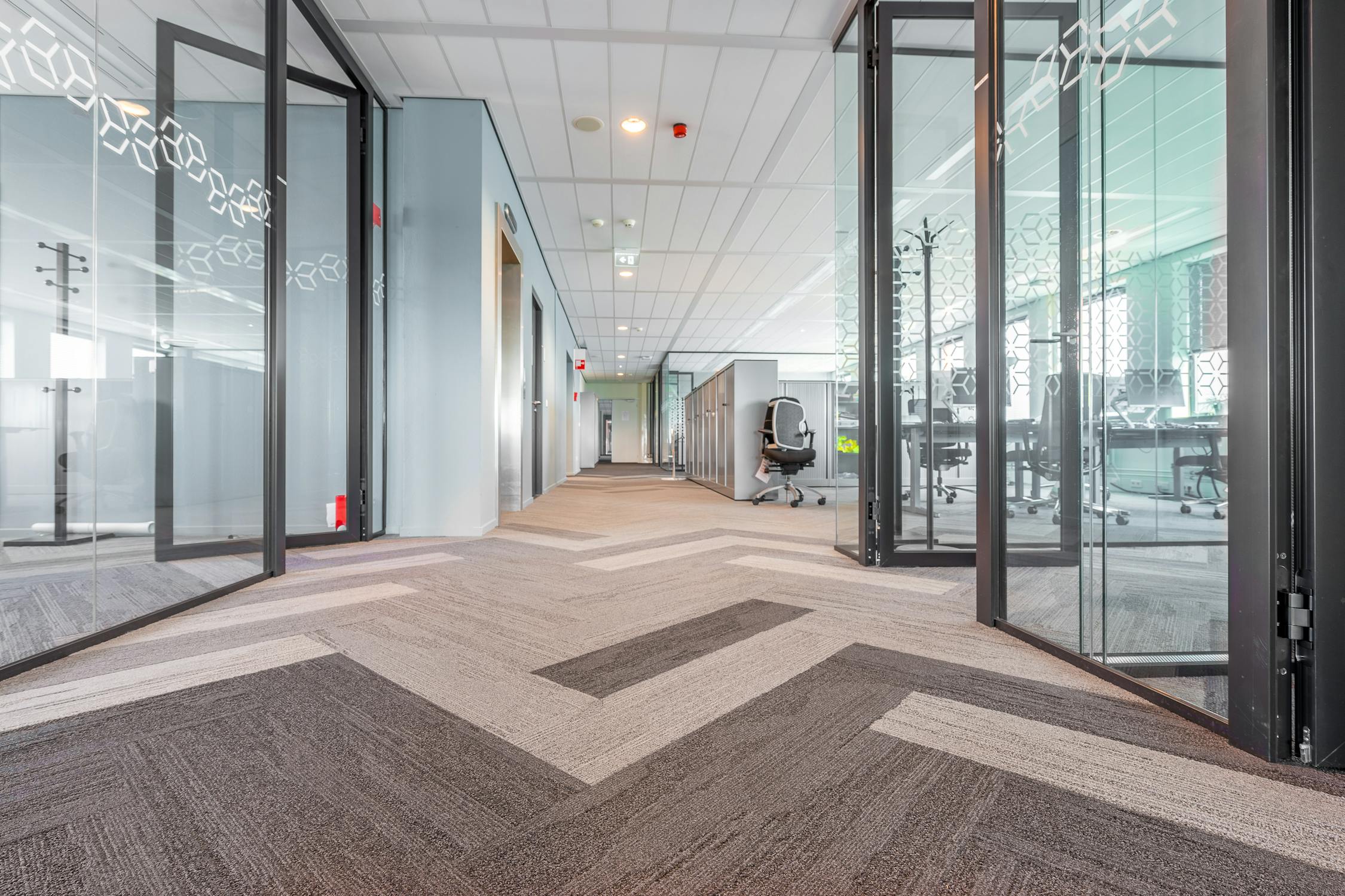 Office Carpet Cleaning in Tacoma How Often Is Often Enough